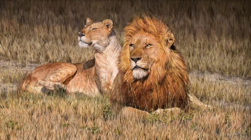 Big Cat Intensive, Guy Combes | Workshop | Oil