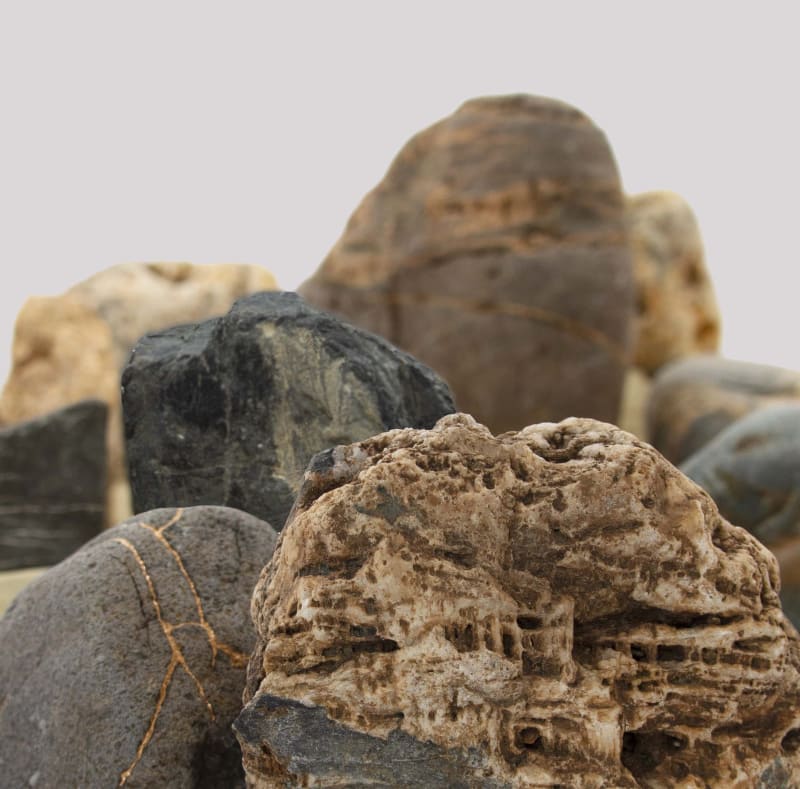 Re/Generation: Yu-Wen Wu, Solo Exhibition