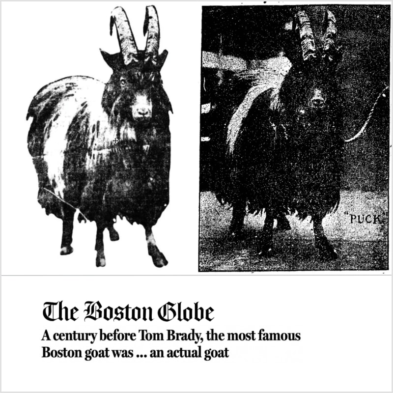 A century before Tom Brady, the most famous Boston goat was ... an actual goat