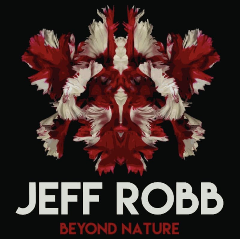 Beyond Nature - Milan solo show, Milan Italy