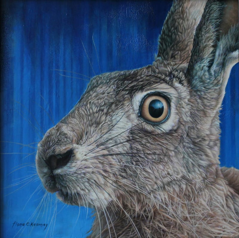 Hare 2 by Fiona Kearney