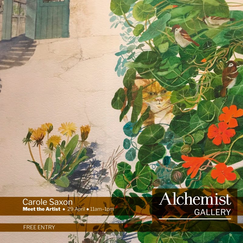 buy art artwork carole saxon harvey Scottish Highlands Orkney watercolour Botanicals landscape floral flowers