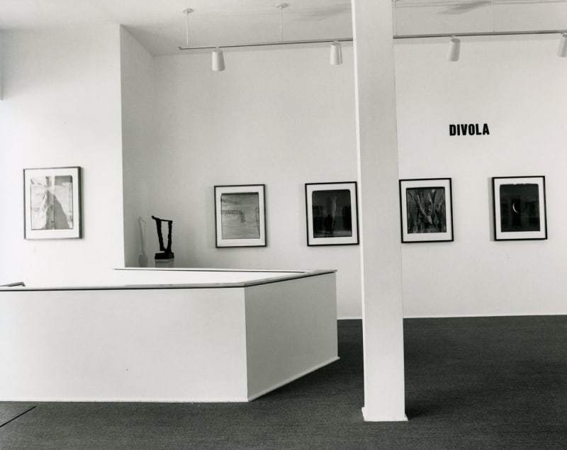 Fabrications and Photographs, Callis, Berman, Divola