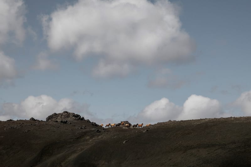 Foto av himmel och hästar av Susanne Walström