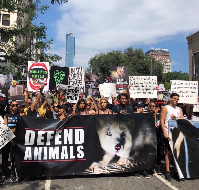 Photograph of the beginning of the "Defend Animals March," September 2018