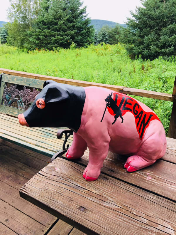 Photograph of a pig painted by Sue Coe for a 2018 fundraiser for Woodstock Farm Sanctuary