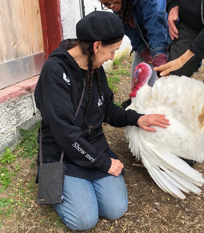 Photograph of the artist petting a turkey's body while visiting the sanctuary