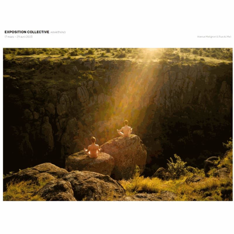 They support us: Strouk Gallery, in the frame of the exhibition 'Awakening' in Paris