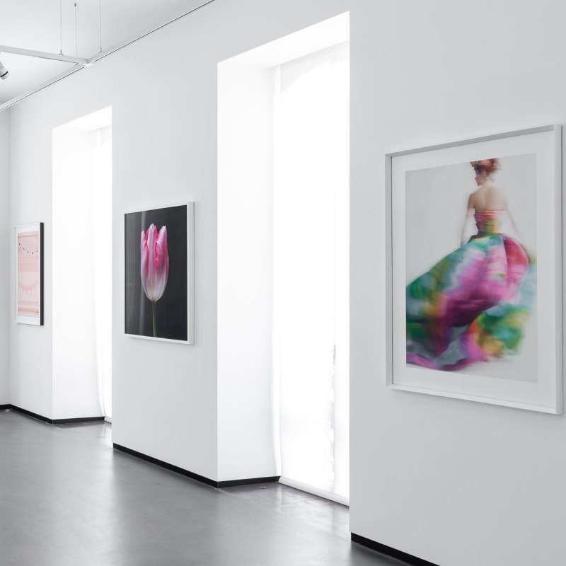 Fine photo art gallery In The Pink in Loulé, Algarve, Portugal.