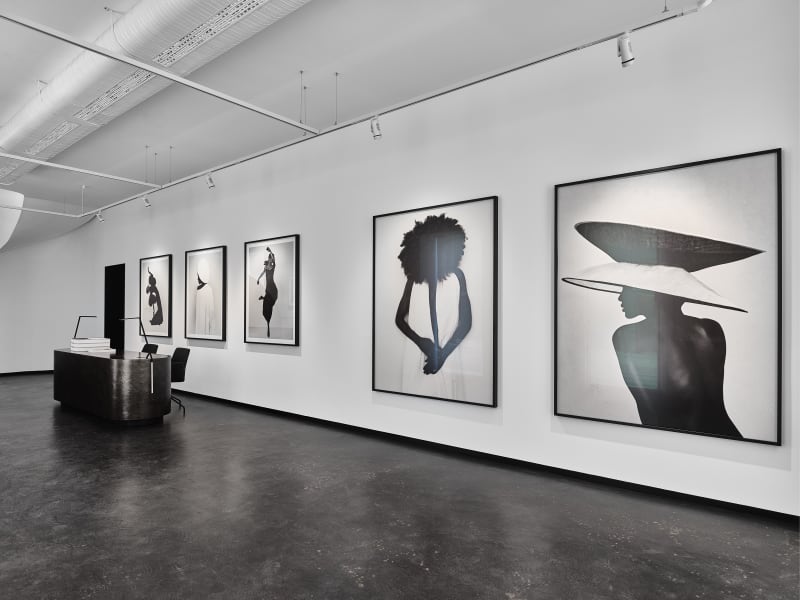 Fashion, Albert Watson; Bastiaan Woudt; Kristian Schuller