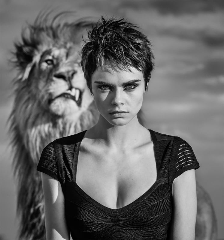 Lobos, carros e Cindy Crawford. As histórias em imagem de David Yarrow em exposição em Lisboa