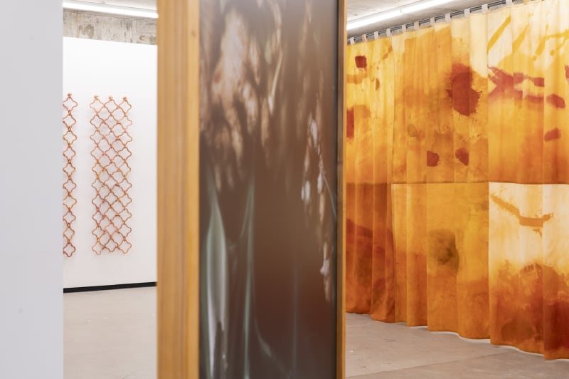 Cut Flowers, Jaime Jenkins, Caroline McQuarrie, Ann Shelton, Ruby Wilkinson and Erica van Zon