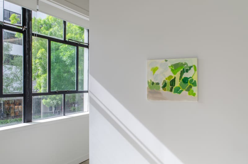 Rebecca Hasselman Jhana Millers Art Gallery Wellington