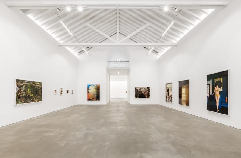 Galeria Francisco Fino - Body Capital
