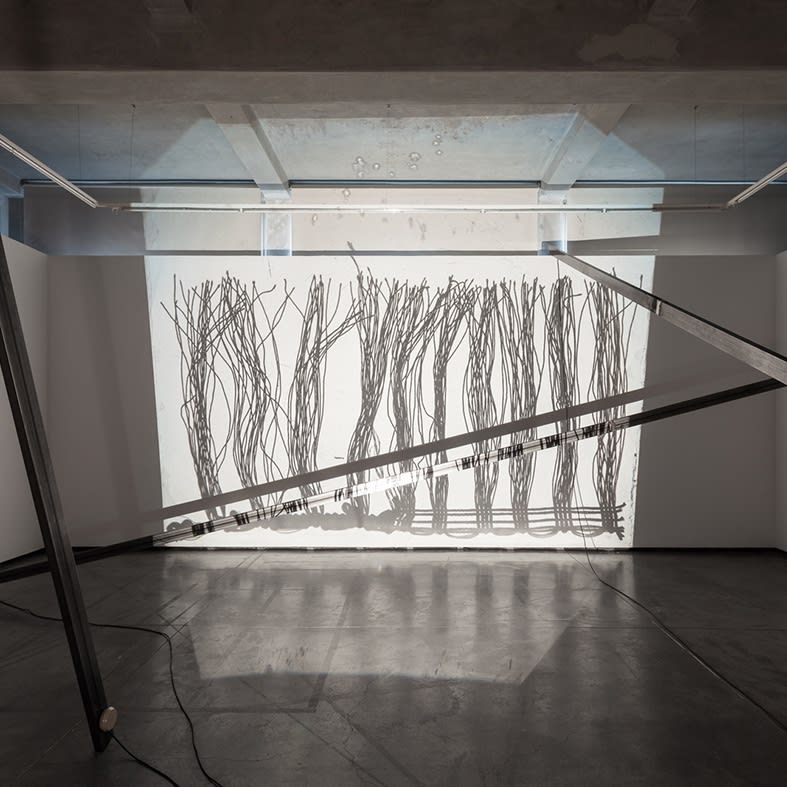 Galeria Francisco Fino - Segmentos