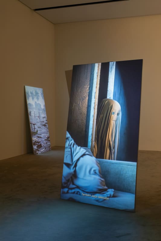 ECHOES. Skin Contact