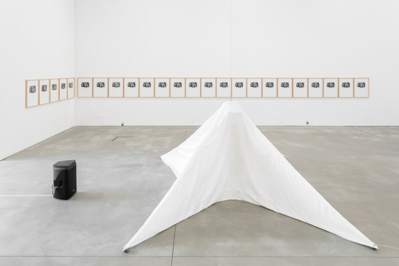 Galeria Francisco Fino - Opening, Nuno Ramos