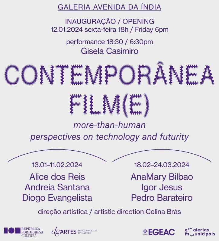 Contemporânea Film(e), Diogo Evangelista - Galeria Francisco Fino