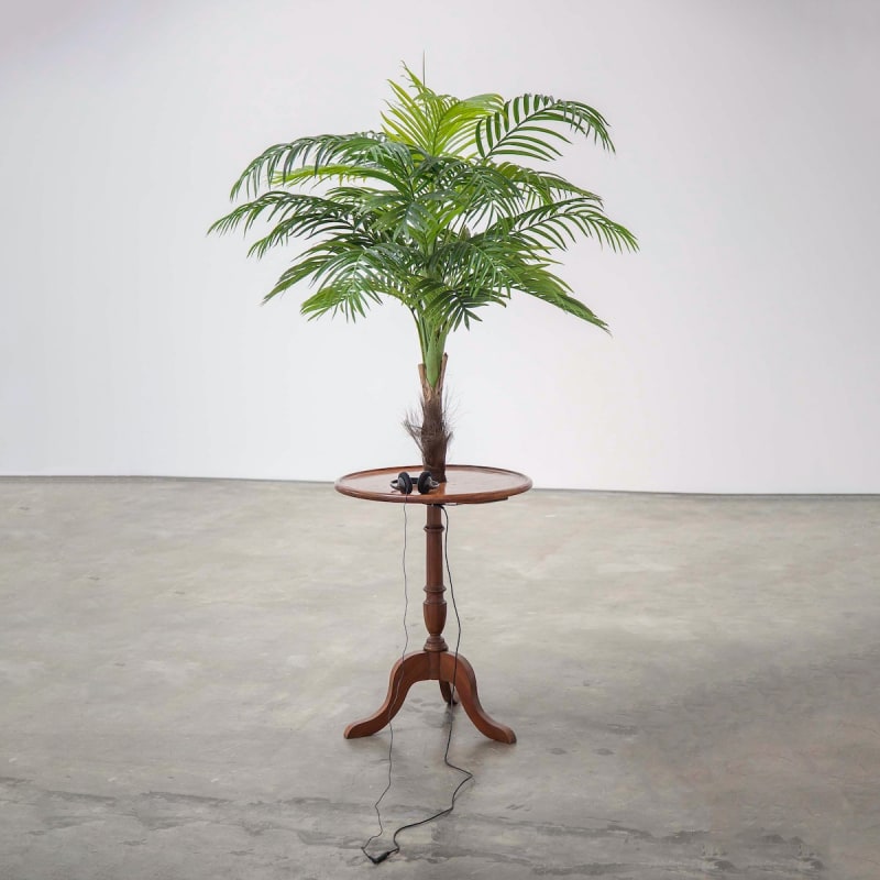 Vasco Araújo Exotismo #1, 2014 Plastic palm tree, wood table, MP3 Sound, headphones Text: Vasco Araújo Voices: Mariana Sá Nogueira, Paula Sá Nogueira, Vasco Araújo 170 x 60 x 60 cm