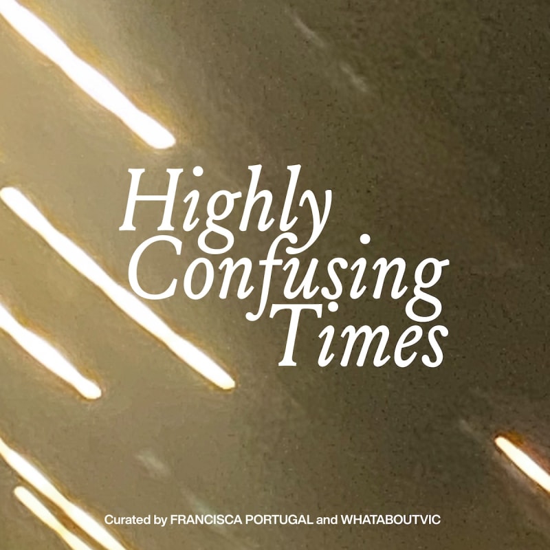 Daniela Ângelo - Highly Confusing Times | Galeria Francisco Fino