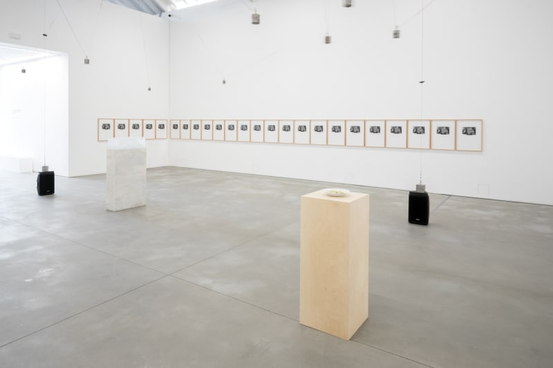 Galeria Francisco Fino - Opening, Nuno Ramos
