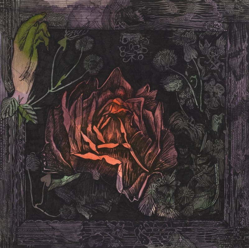 Peter Köhler, ”Study of a Rose”, 2024. Ink and acrylic on paper, 20x20 cm