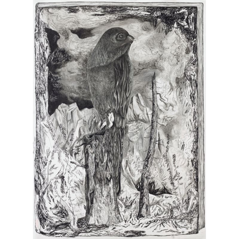 Jeff Olsson ”Fågeln i boken”, 2024. Kol på papper / Charcoal on paper 150x110 cm