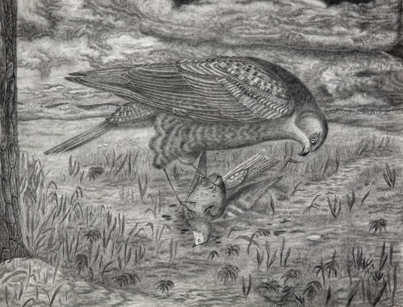 Jeff Olsson at CF Hill