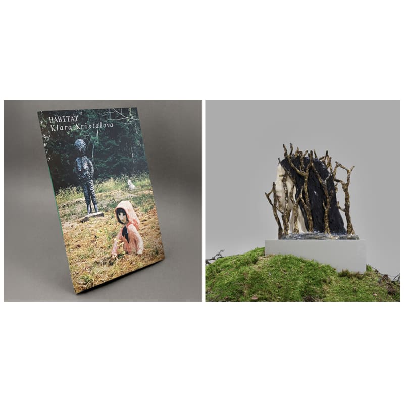 Klara Kristalova, Artist talk