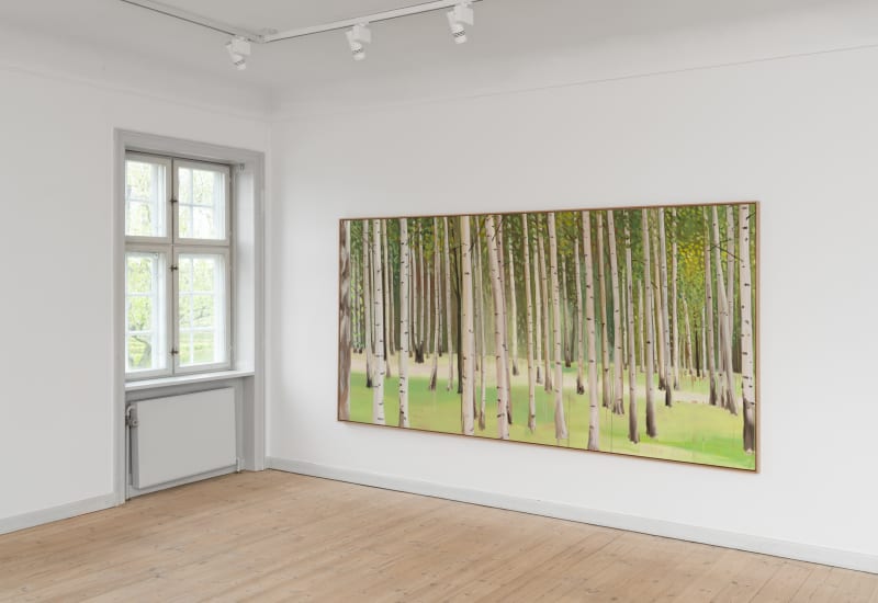 Anna Bjerger at Brandts Art Museum