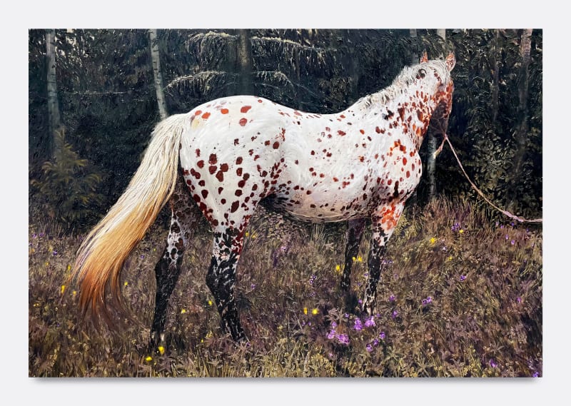 Sara-Vide Ericson at V1 Gallery