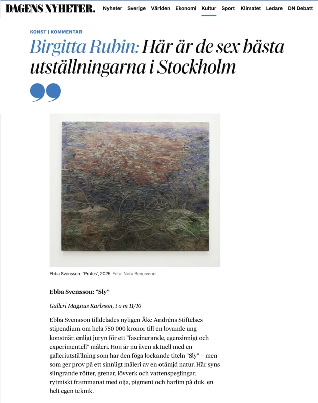 Article in Dagens Nyheter, Ebba Svensson, The six best exhibitions in Stockholm