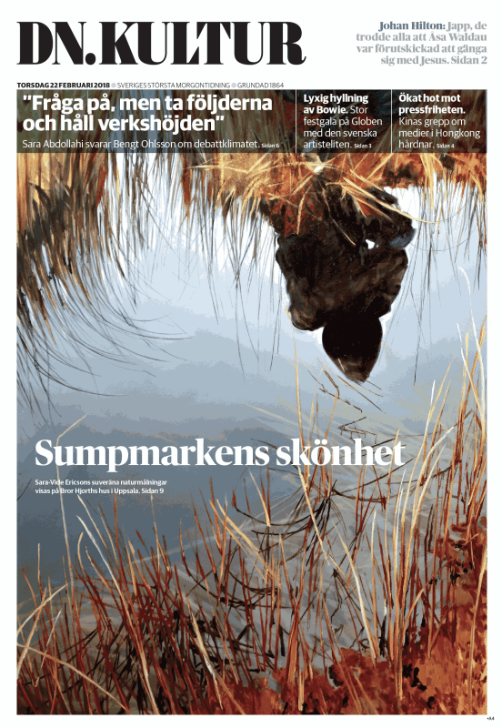 Review in Dagens Nyheter