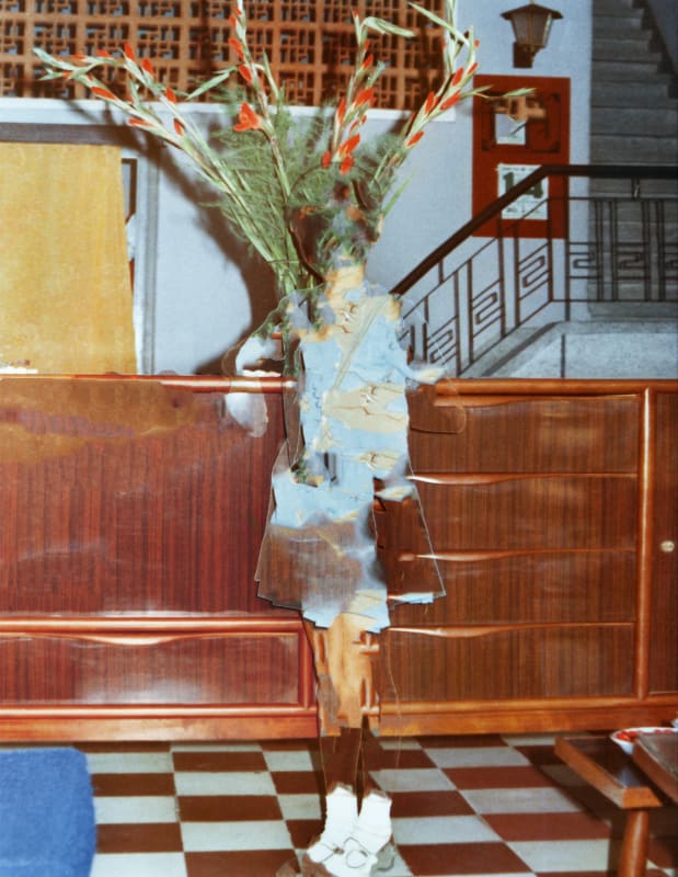 Gladiolas and Fourtee years in between - Archive from the year 72 - Nhu Xuan Hua