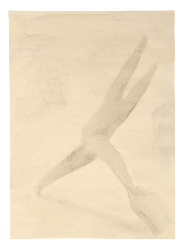 Dream Time, Observation Projects 01