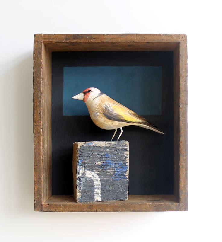 Discovery, Angie Lewin / Alex Malcolmson / Jane Keith