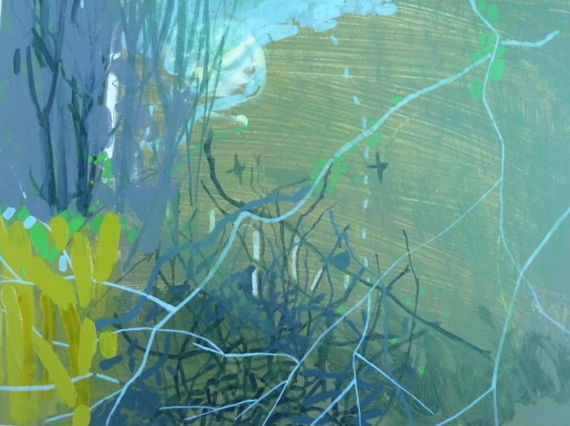 Perpetual Discovery, Janet Melrose / Frances Walker / Jennifer Watt