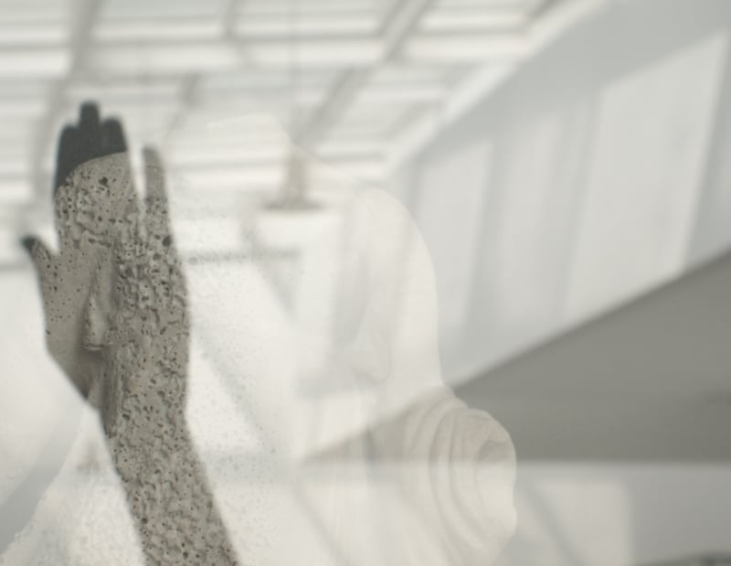 Camille Pradon, Revif, 2023