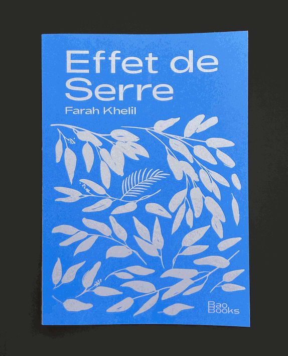 Edited by Moez Akkari and Farah Khelil. Texts by Clelia Coussonnet, Adnen Jdey, Farah Khelil, Hedi Khelil.