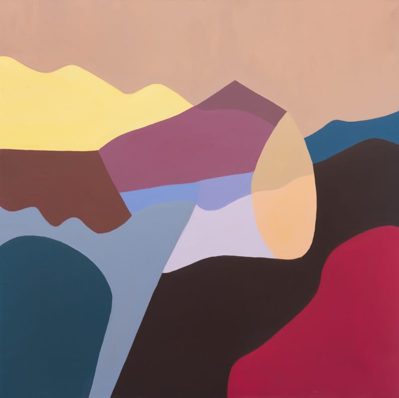 Texto sobre y escritos sobre la obra de Florencia Trucco