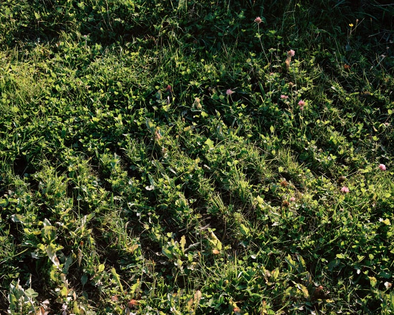 A Blunt Instrument… (#7), 2025