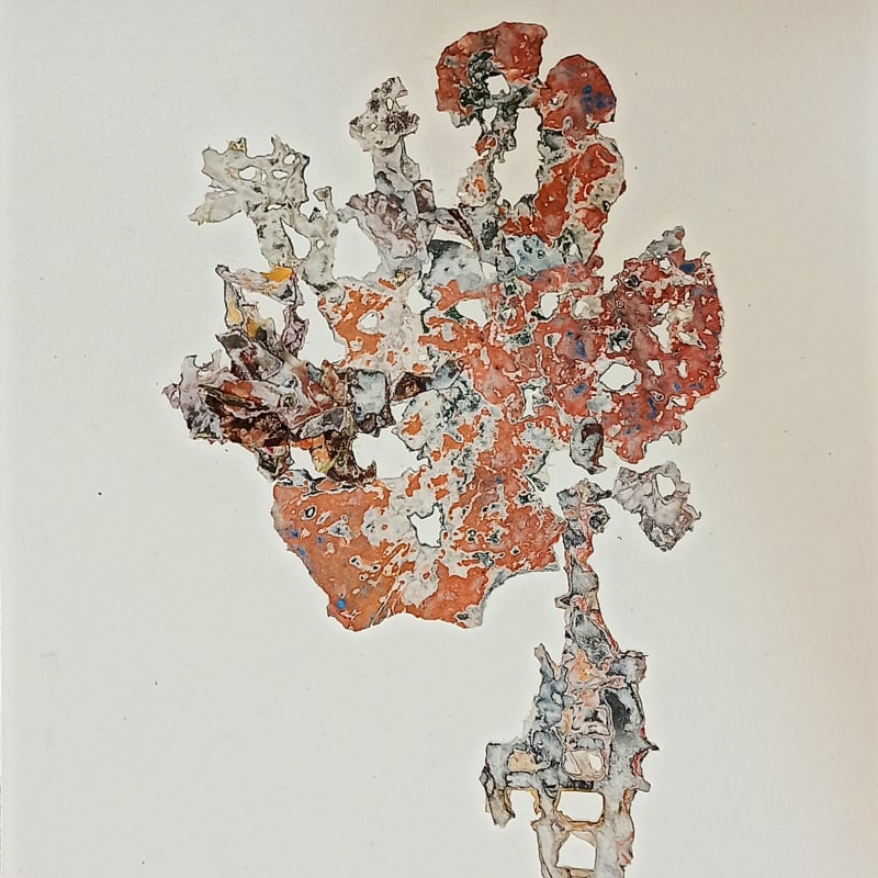 The Telegraph: The fossil-like forms displayed at Art Exposure’s 'A Mechanical Eye' were created with found paper, water