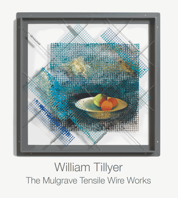 William Tillyer: The Mulgrave Tensile Wire Works