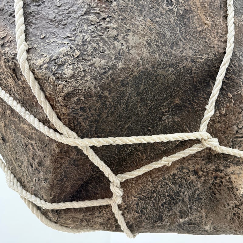 Detail, Make Gravity the Coyote's Greatest Enemy, 2025, Paper mache, rope, wood, and hardware, dimensions variable