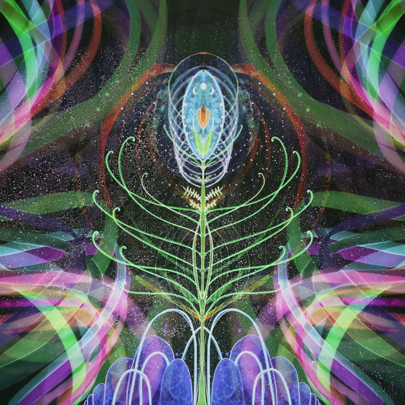 Christine Nguyen, Lightness Within the Cosmic Universe | Project Room