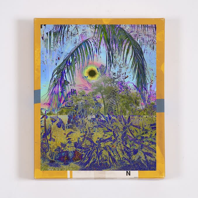 Garden Picture 9, archival pigment inks on paper, 18.5 x 15 in. (47 x 38.1 cm)