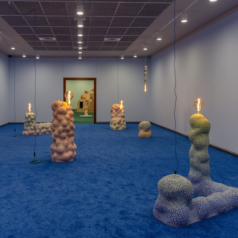 Linda Nguyen Lopez's Solo Exhibition at the Springfield Art Museum