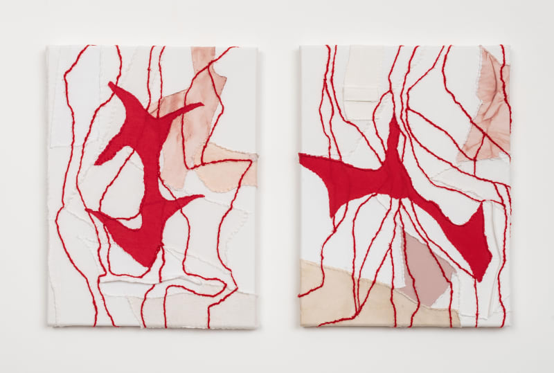 Roberto Maria Lino, Memoir of a Needle