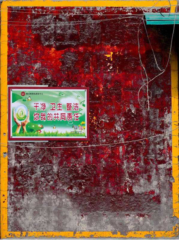 Lisa Ross, Poisonous Weeds