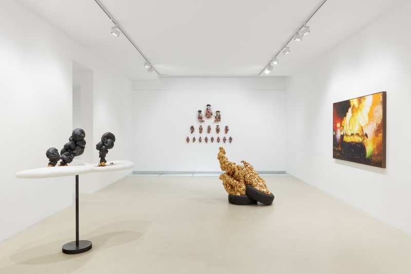 koen theys, bonfires